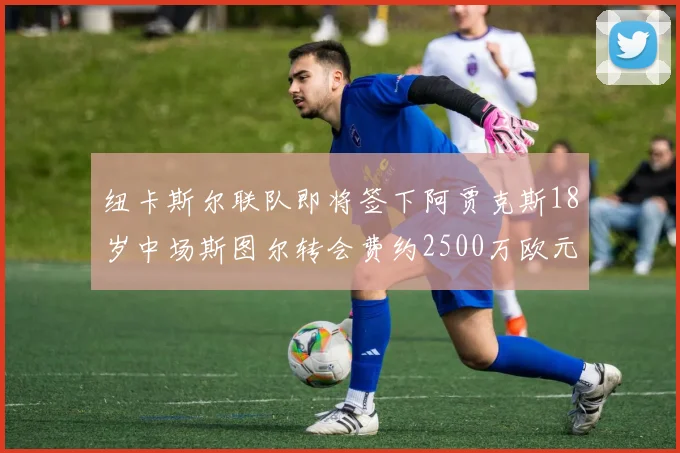 纽卡斯尔联队即将签下阿贾克斯18岁中场斯图尔转会费约2500万欧元