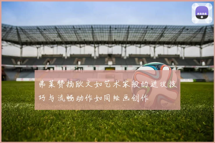 弗莱赞扬欧文如艺术家般的进攻技巧与流畅动作如同绘画创作
